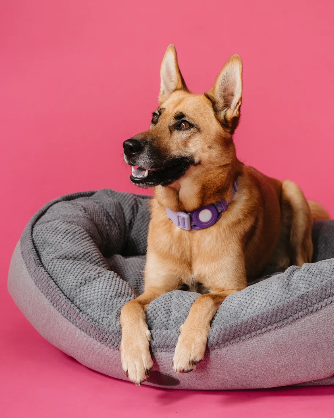 Additional view of Furry Bagel Dog Bed — view 3