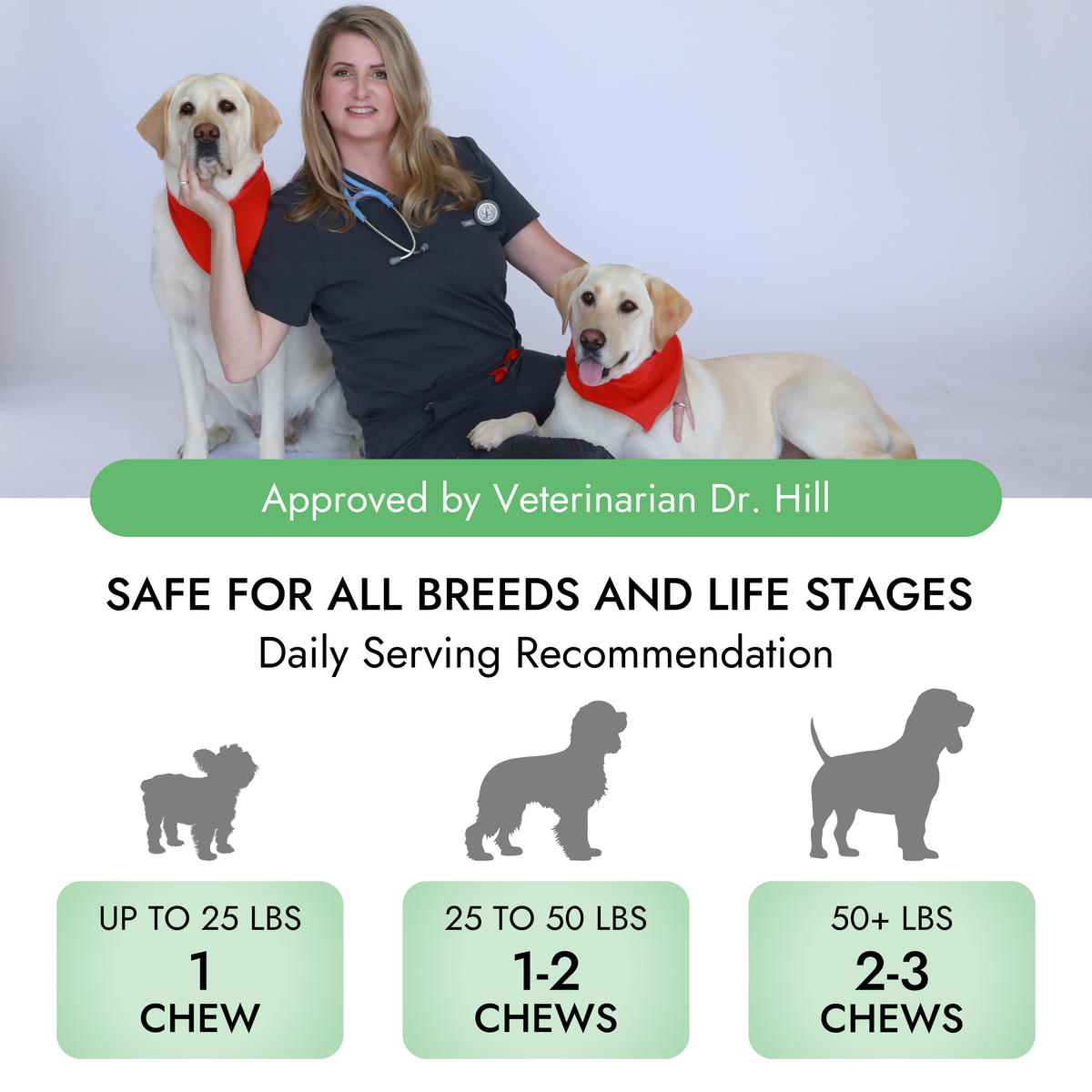 Pet Vet Products® Allergy Support Soft Chews for Dogs - 60 Count product feature image 6 of 6