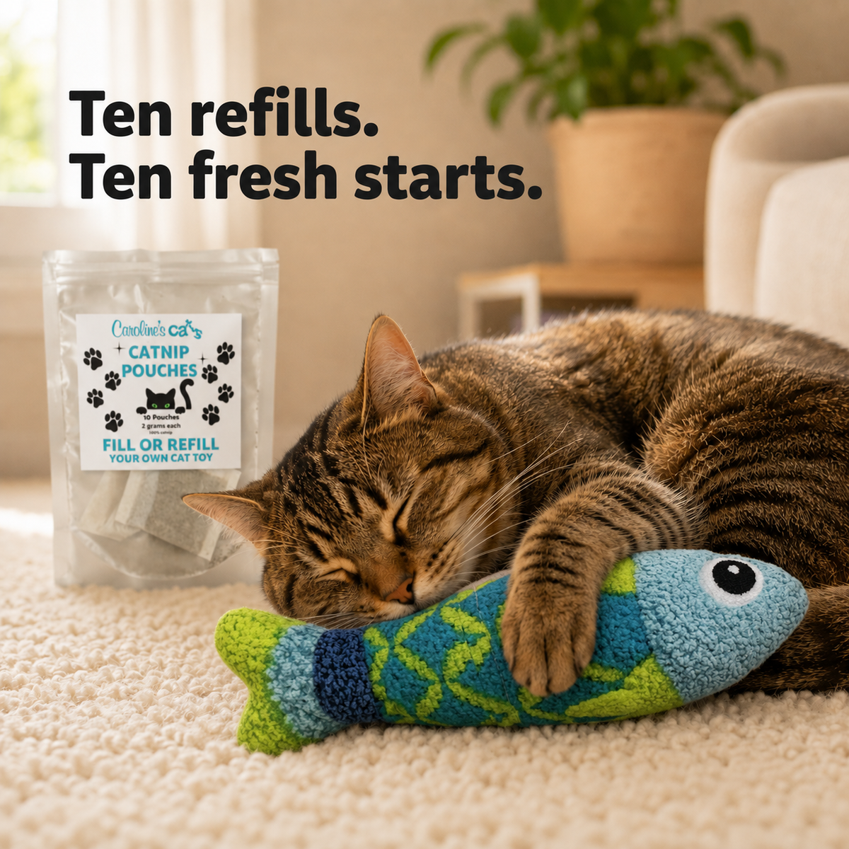 Catnip Refill Packets for Cat Toys - 10 Pack product information graphic 7