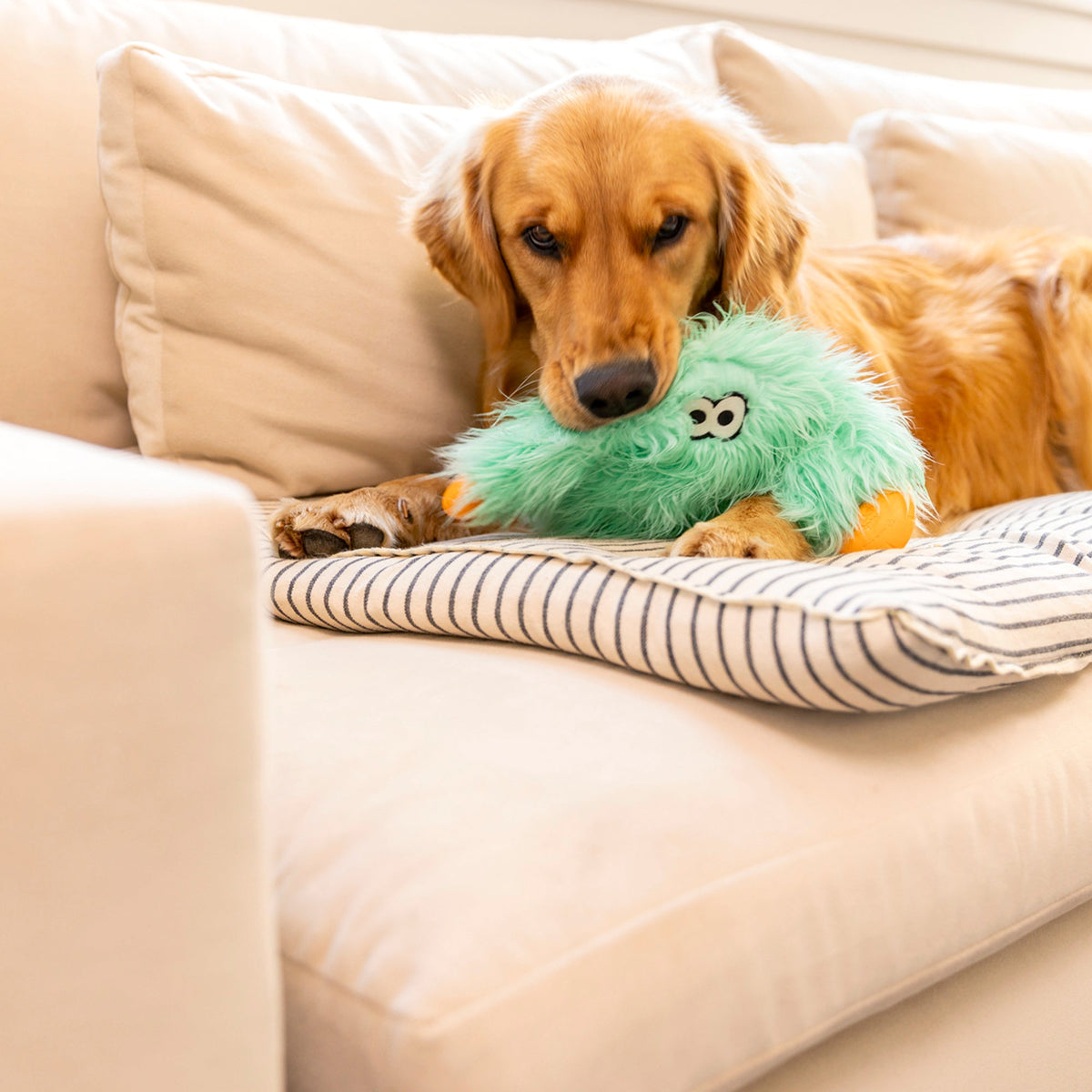 Lifestyle view of Helga Rowdies plush dog toy in use in seafoam — view 2