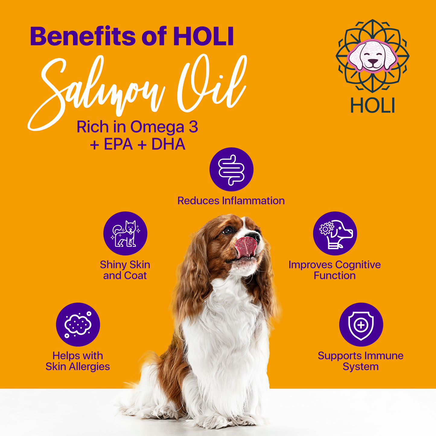 HOLI Pure Icelandic Salmon Oil feeding and usage information