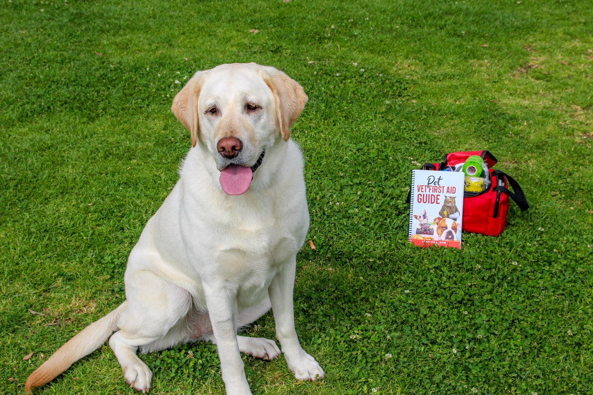 Imagen de características de PetVet Medic® Kit grande de primeros auxilios para mascotas - 120+ piezas, 10 de 10