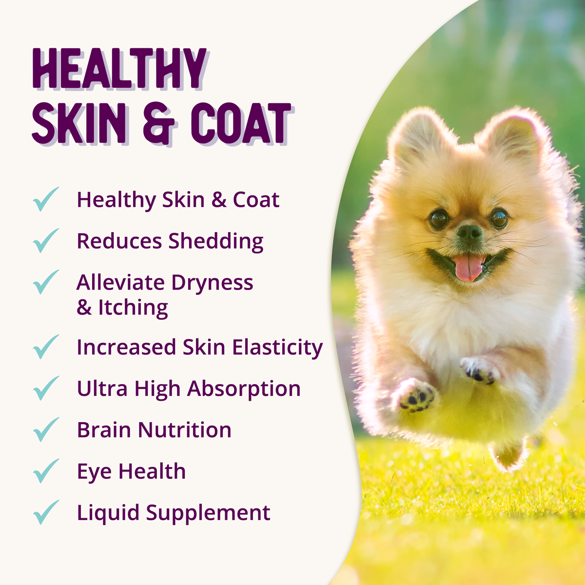 Healthy Skin & Vibrant Coat Supplement