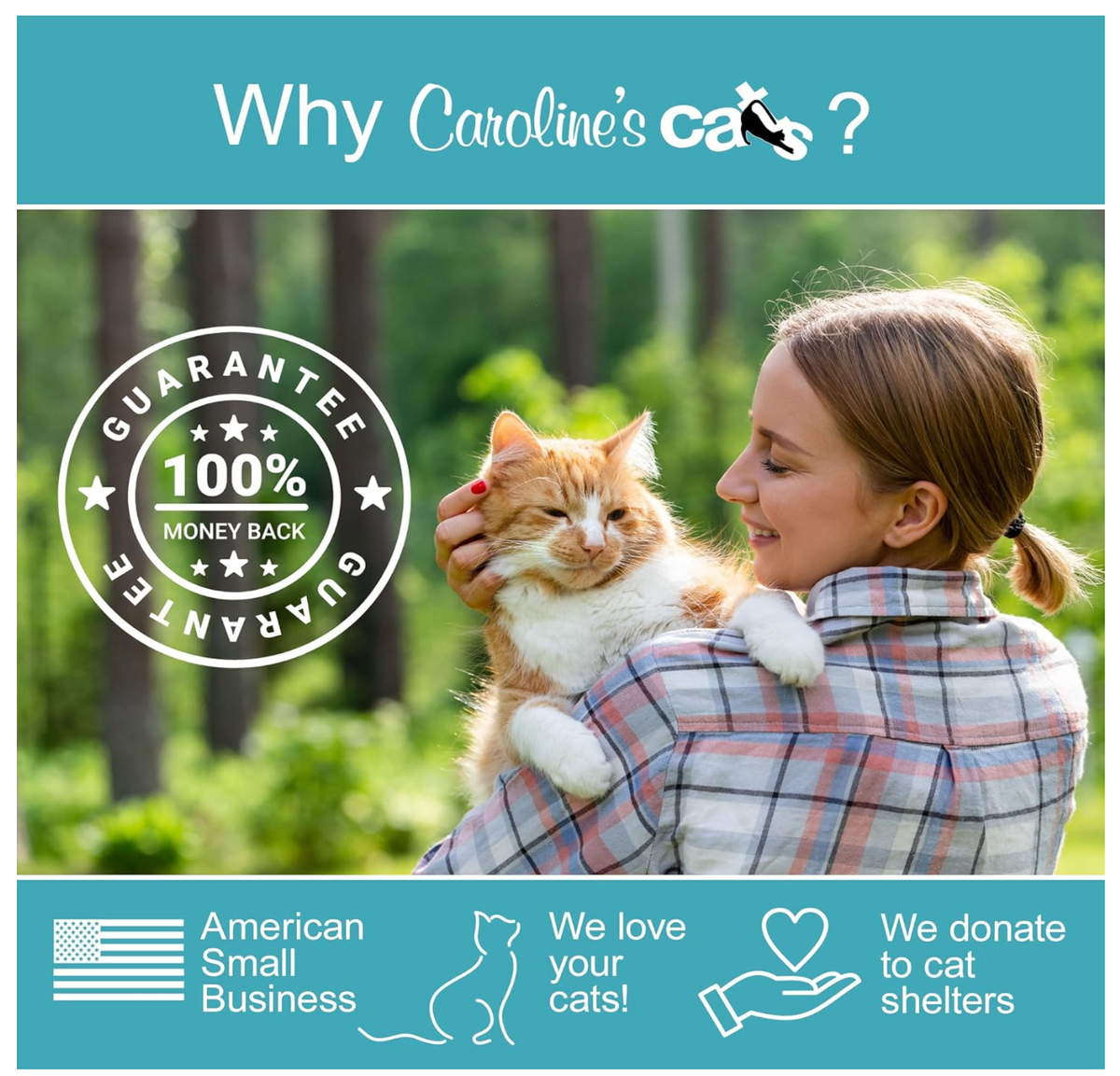 Silvervine Powder Refill Packets for Cat Toys - 10 Pack product detail 7