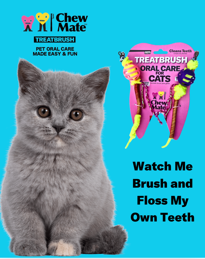 Oral Care Floss & Treat Toothbrush Toys for Cats - 2 Pack product information graphic 3