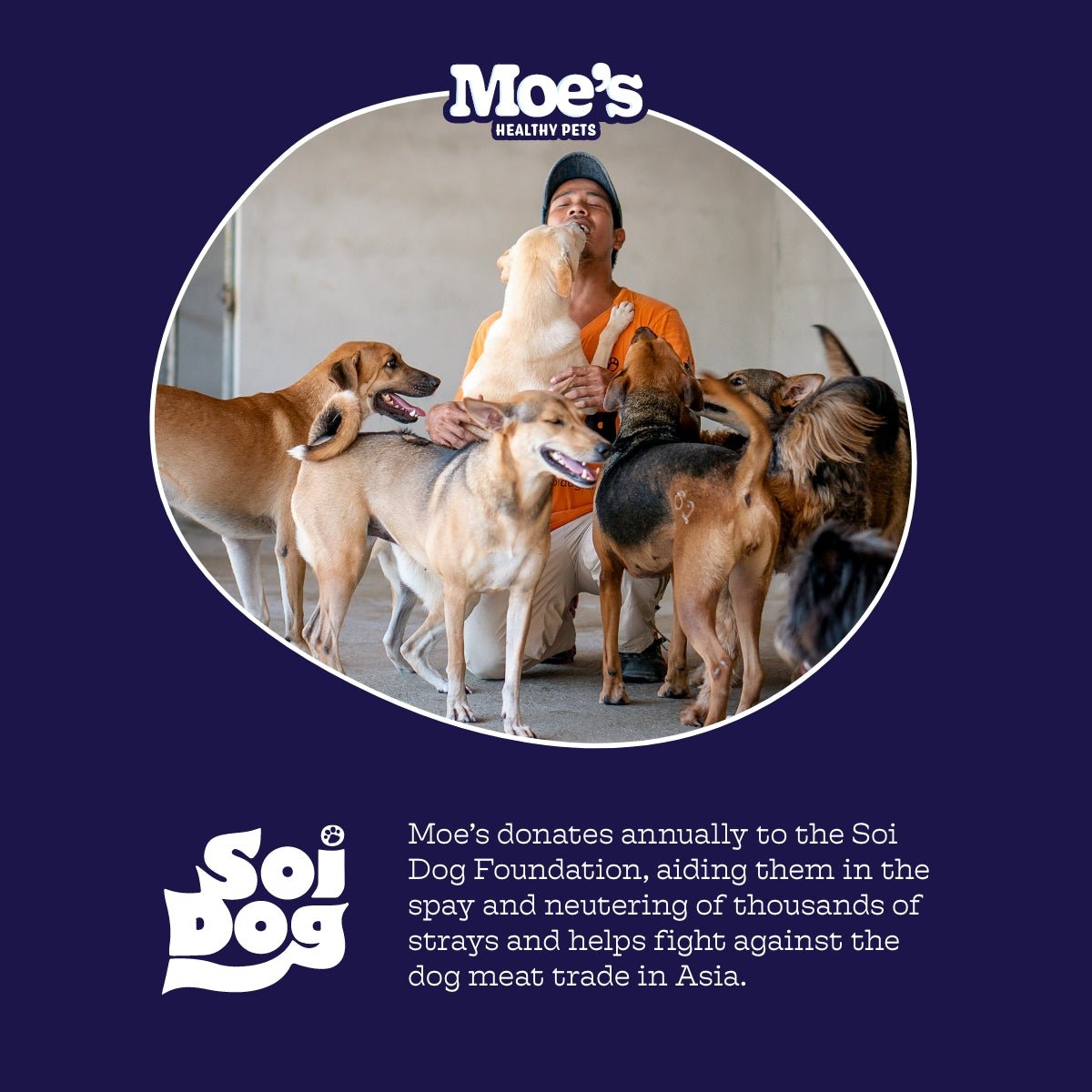 Person with dogs and Moe's Healthy Pets branding on a blue background