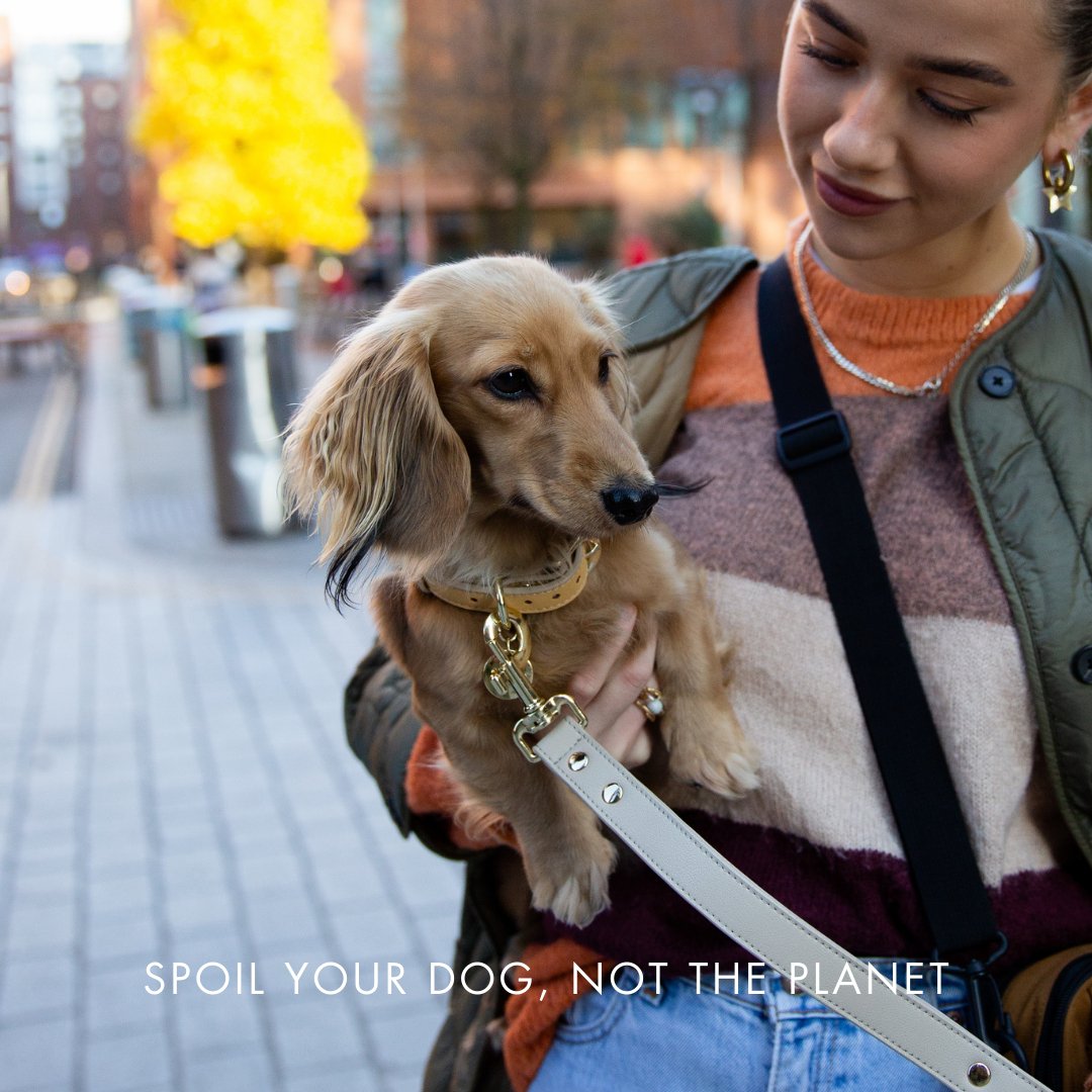 Nina Woof Copenhagen Vegan Leather Dog Collar - additional product image 19