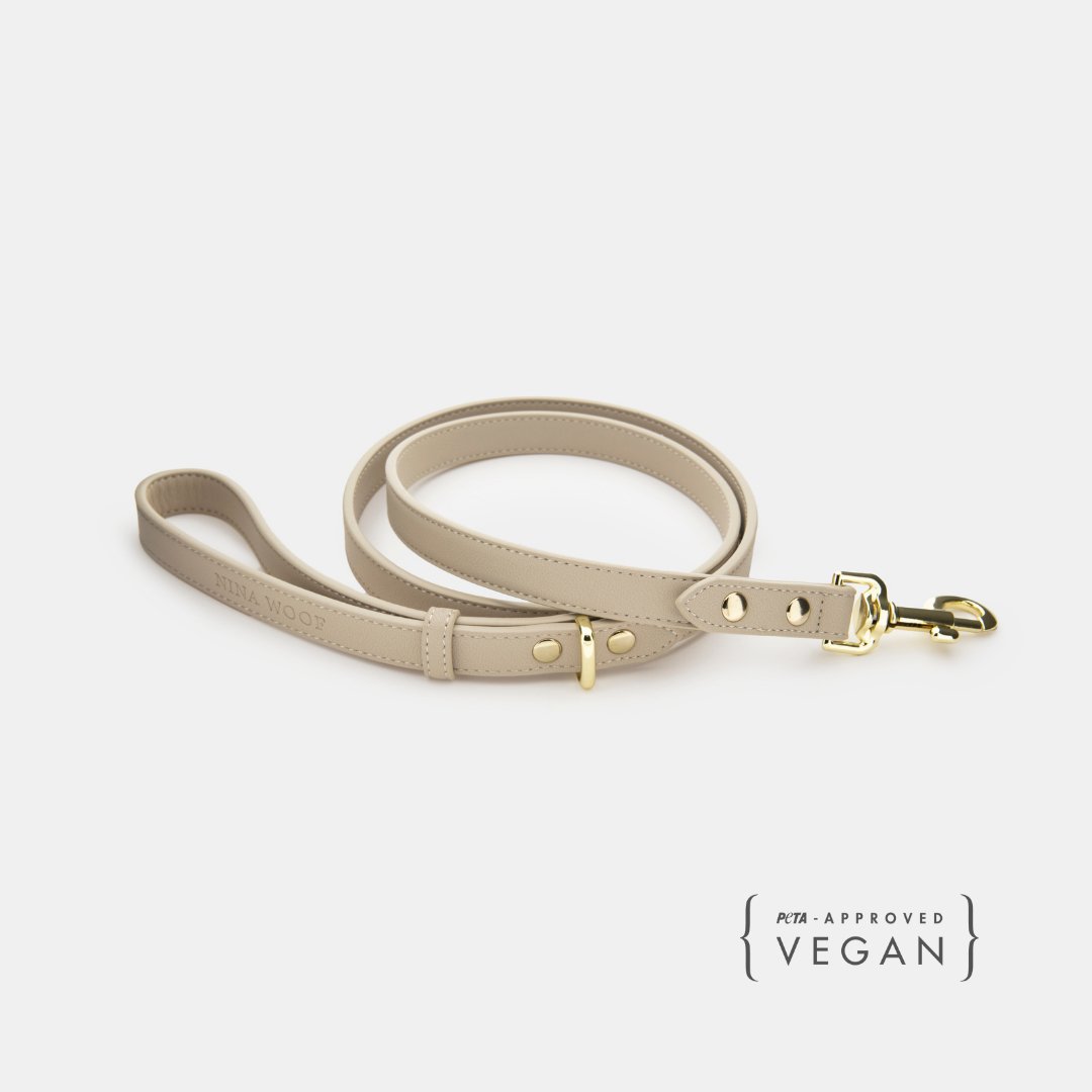 Vegan Leather Leash Cupertino de 4 pies de Nina Woof en una escena cotidiana