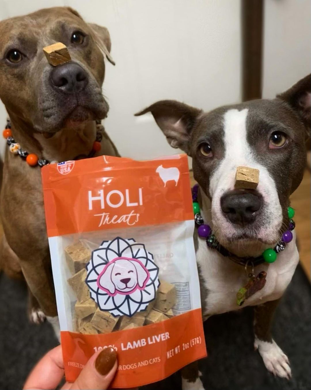 Freeze-Dried Lamb Liver Dog Treats