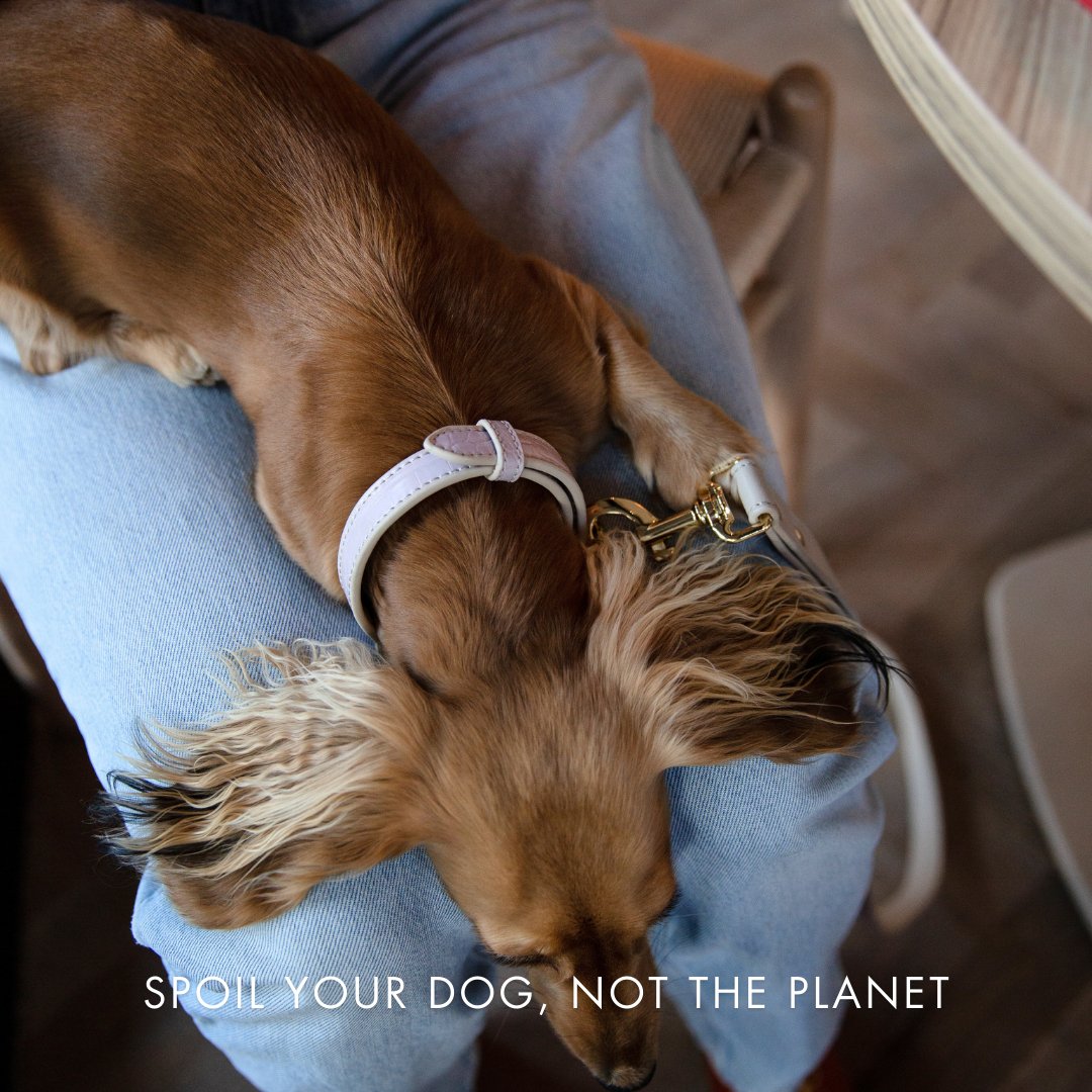 Nina Woof Milan Vegan Leather Dog Collar