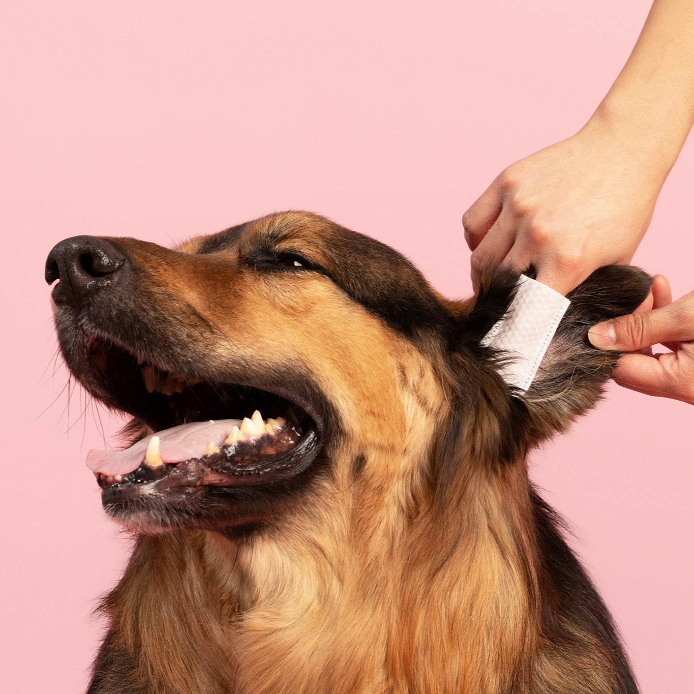 Additional view of Dr. Paws Choice Ear Relief Finger Wipes