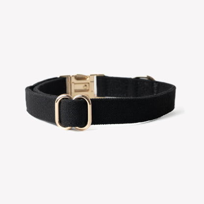 Black dog collar with gold buckle on a white background