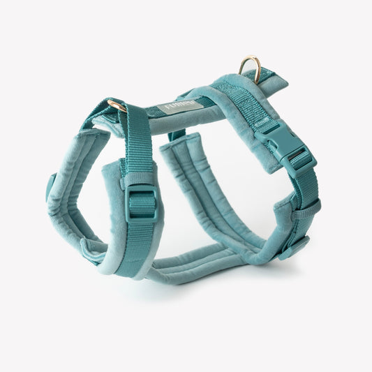 FURLOU Velvet Dog Harness - Blue product view
