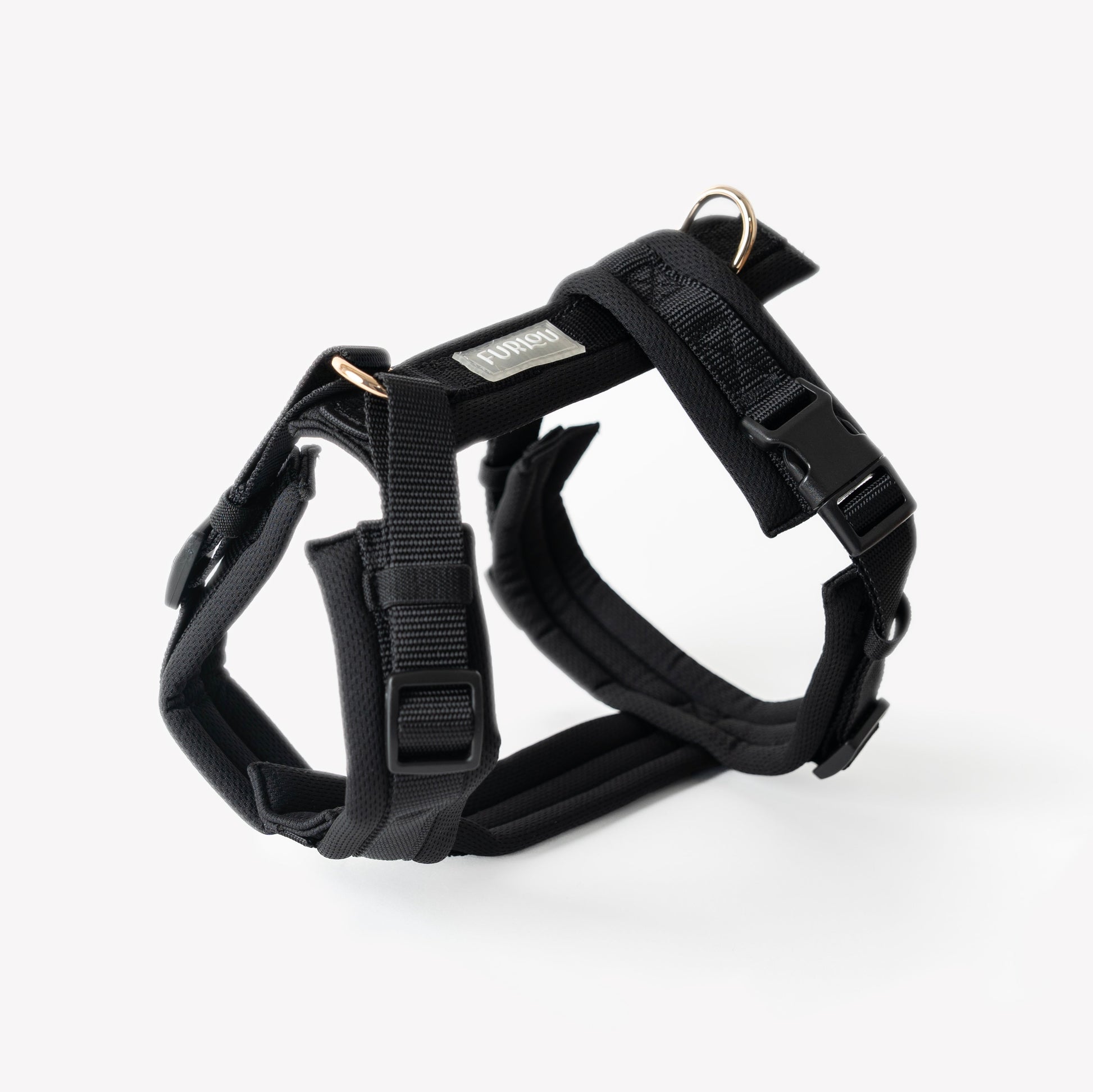Black dog harness on a white background
