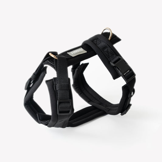 Black dog harness on a white background
