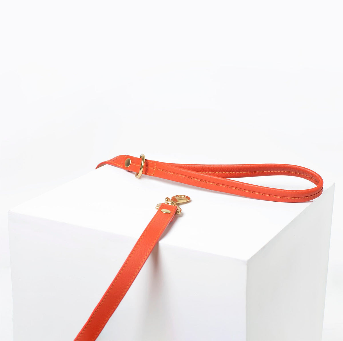 Sunset leather dog leash by Ramona For You in use