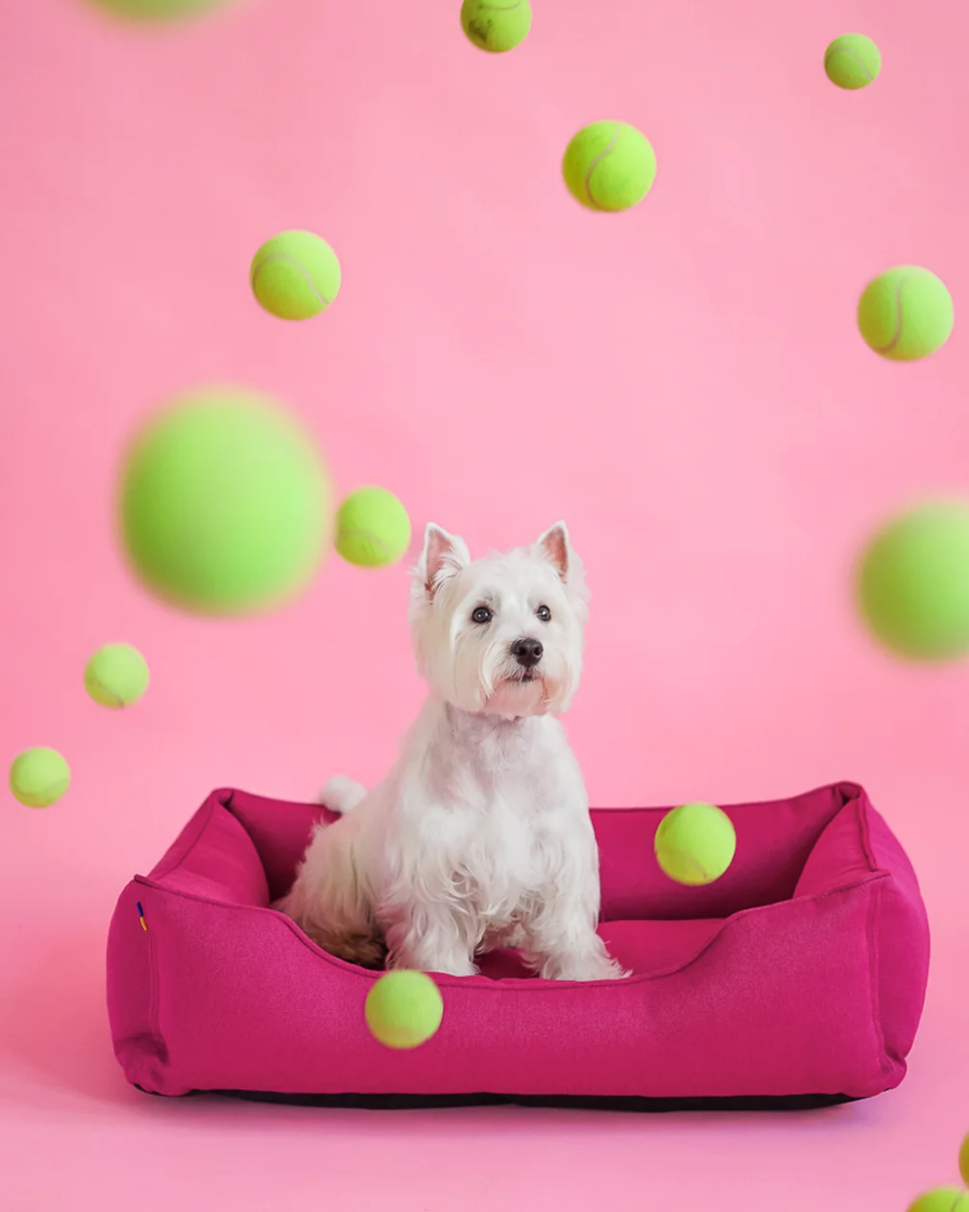 Cotton Sleeper Dog Bed - Berry Pink product information graphic