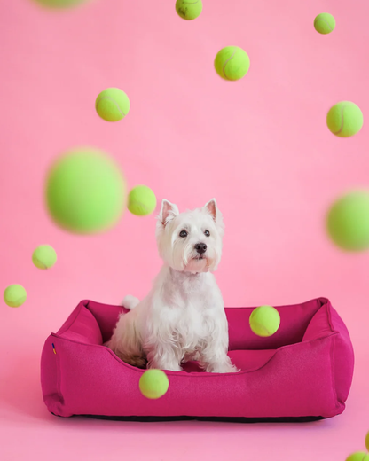 Cotton Sleeper Dog Bed - Berry Pink product information graphic