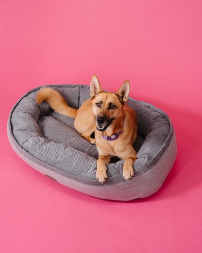 Additional view of Furry Bagel Dog Bed — view 2