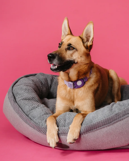 Additional view of Furry Bagel Dog Bed — view 3