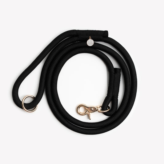 Black dog leash with brass clasp on a white background