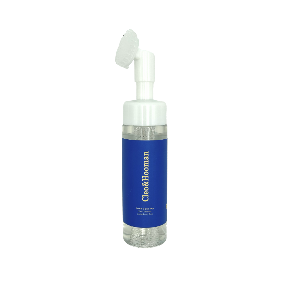 Foam bottle with blue label and white brush on a white background