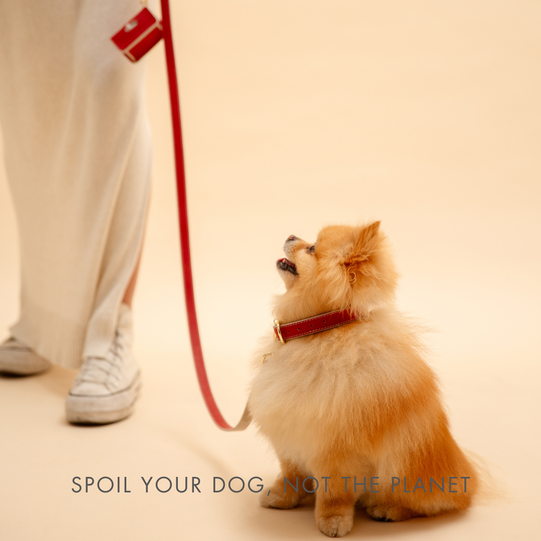 Copenhagen vegan leather leash feature graphic
