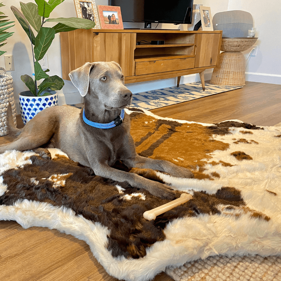 Additional view of PupRug® Animal Print Memory Foam Dog Bed - Brown Faux Cowhide — view 3