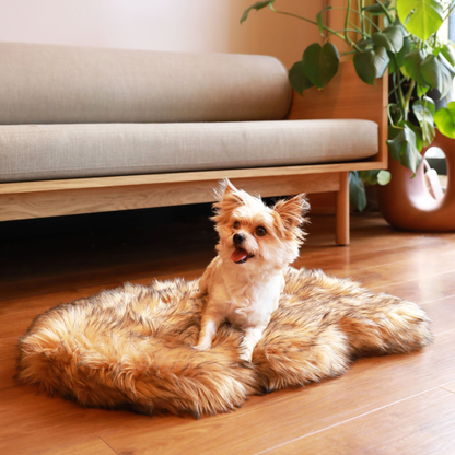 Dog resting on PupRug Curve Sable Tan bed