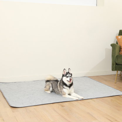 PupChill™ manta refrescante impermeable - Arctic Grey