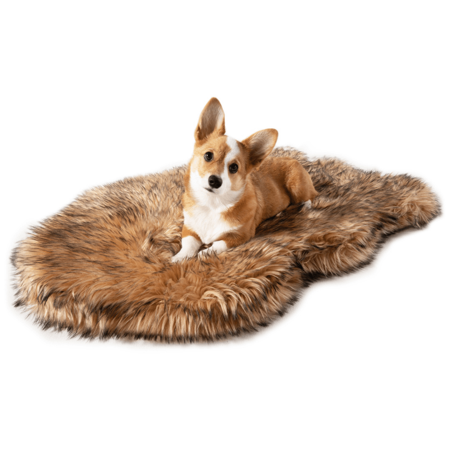 PupRug Curve Sable Tan orthopedic dog bed lifestyle view