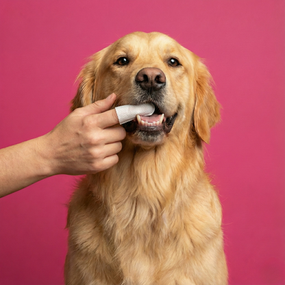 Toallitas Dentales para Limpieza de Dientes (50 unidades)