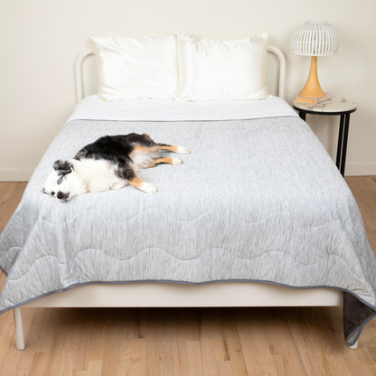 PupChill™ manta refrescante impermeable - Arctic Grey