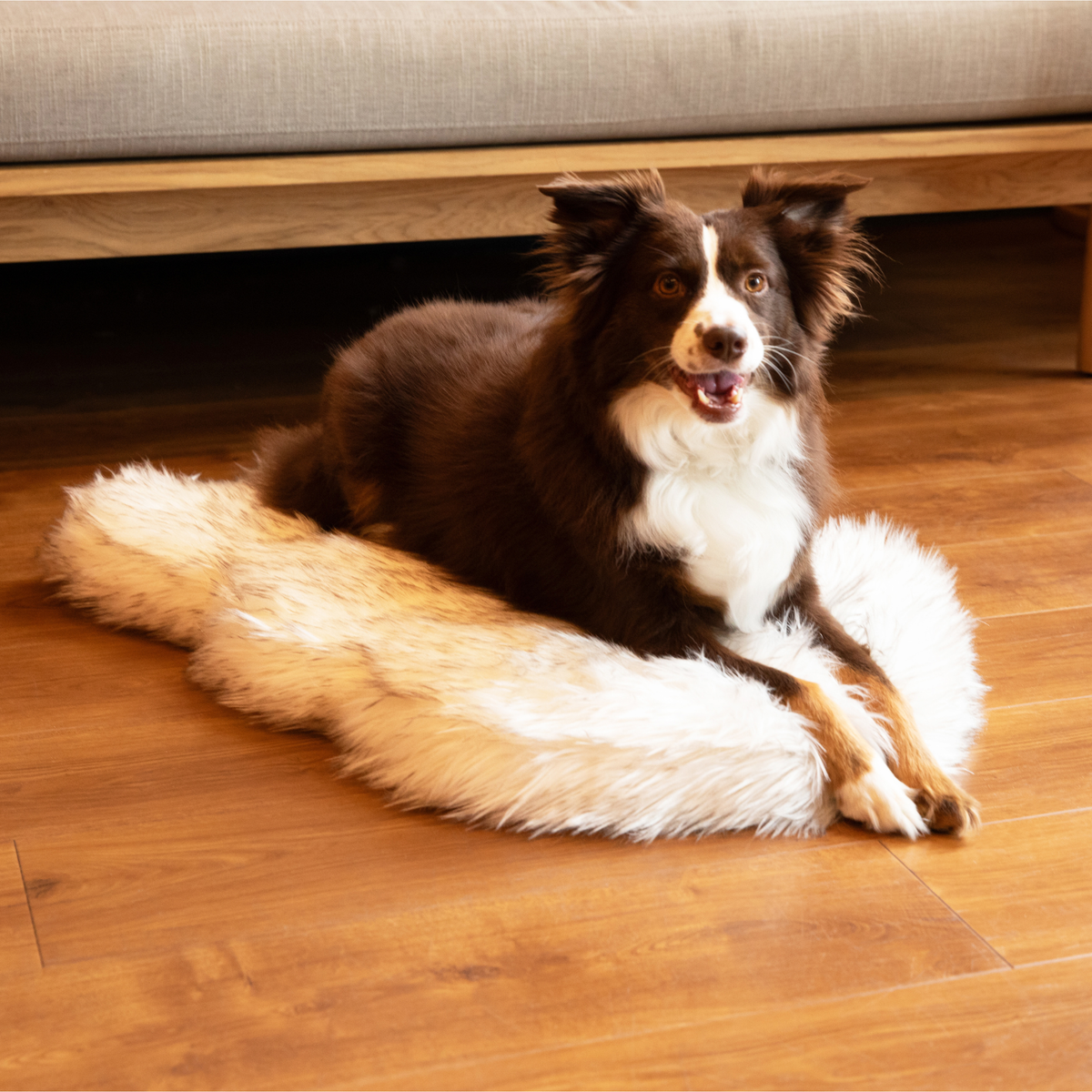 Black and white dog lying on a curved white PupRug beside a sofa.