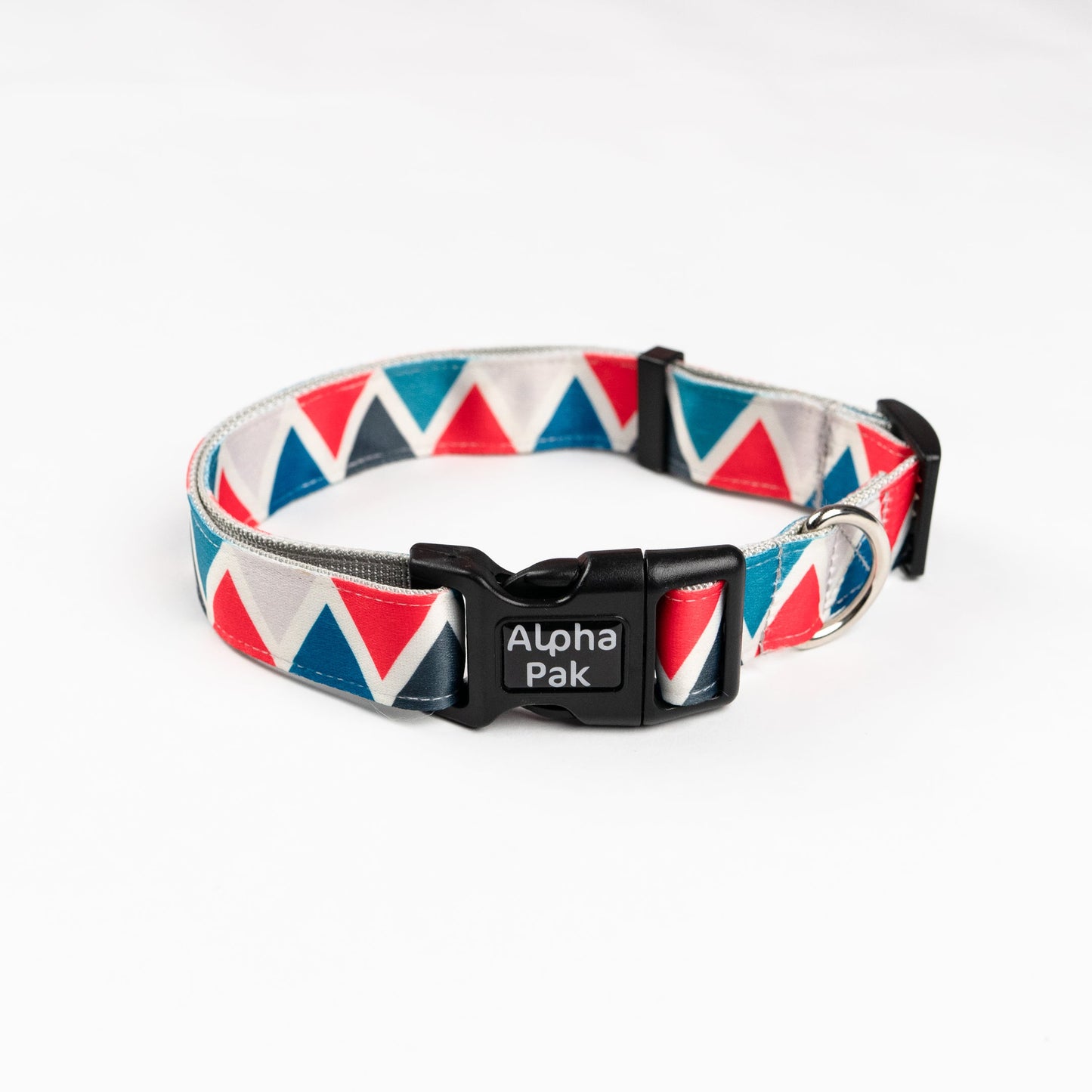 Collar de perro para aventuras diarias