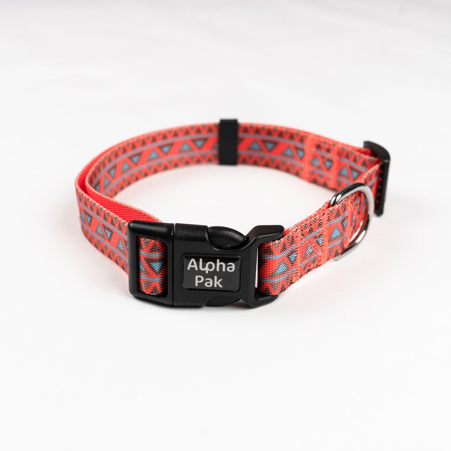Collar de perro para aventuras diarias