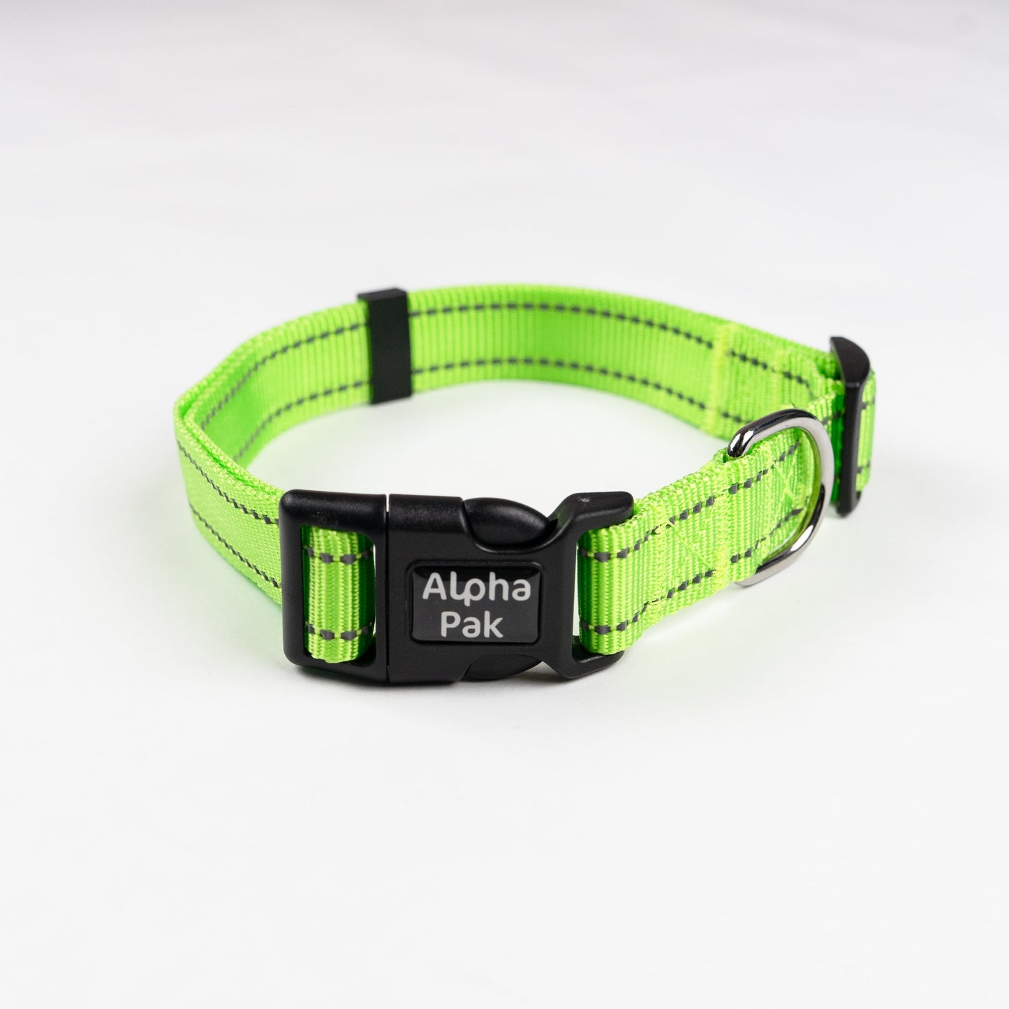 Collar de perro para aventuras diarias