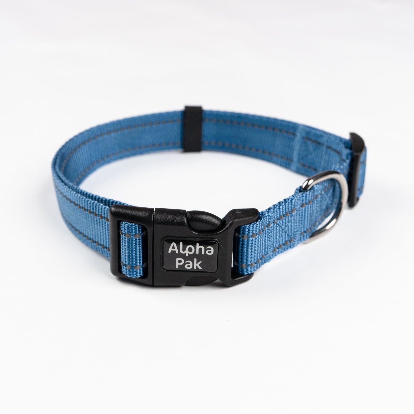 Collar de perro para aventuras diarias