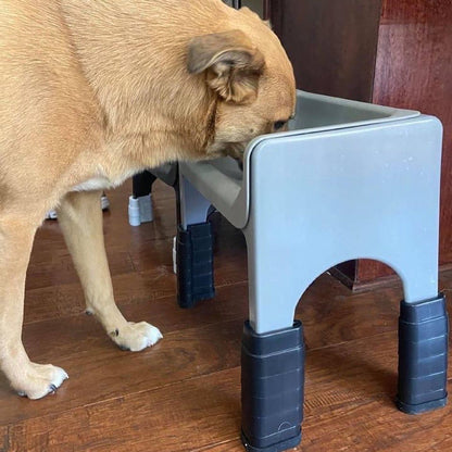 Dog eating from a blue Fluff Trough raised with black stackable lifts.