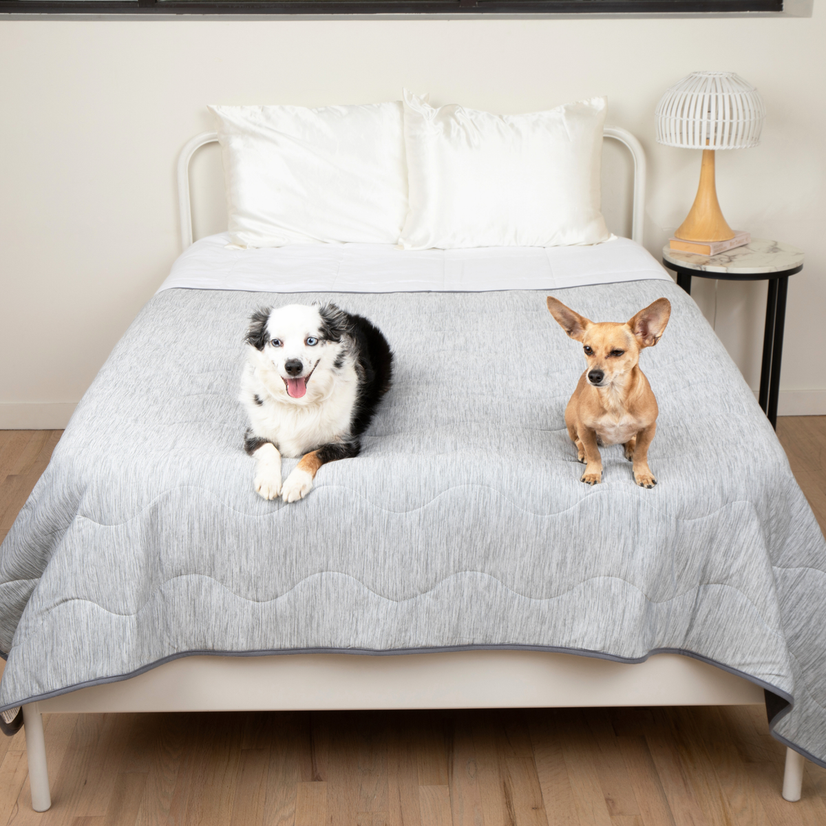 PupChill™ manta refrescante impermeable - Arctic Grey