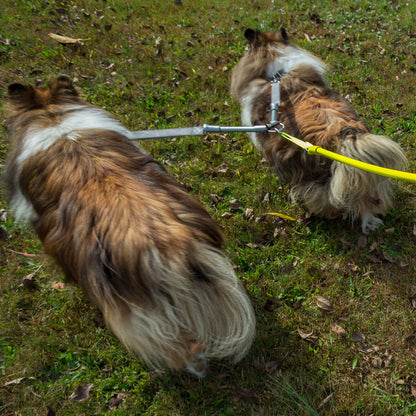 CRAZYcoupl'r - Two-Dog Leash Coupler