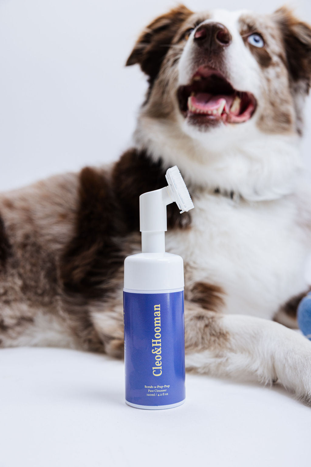 Dog with a bottle of Clean & Human product on a white background