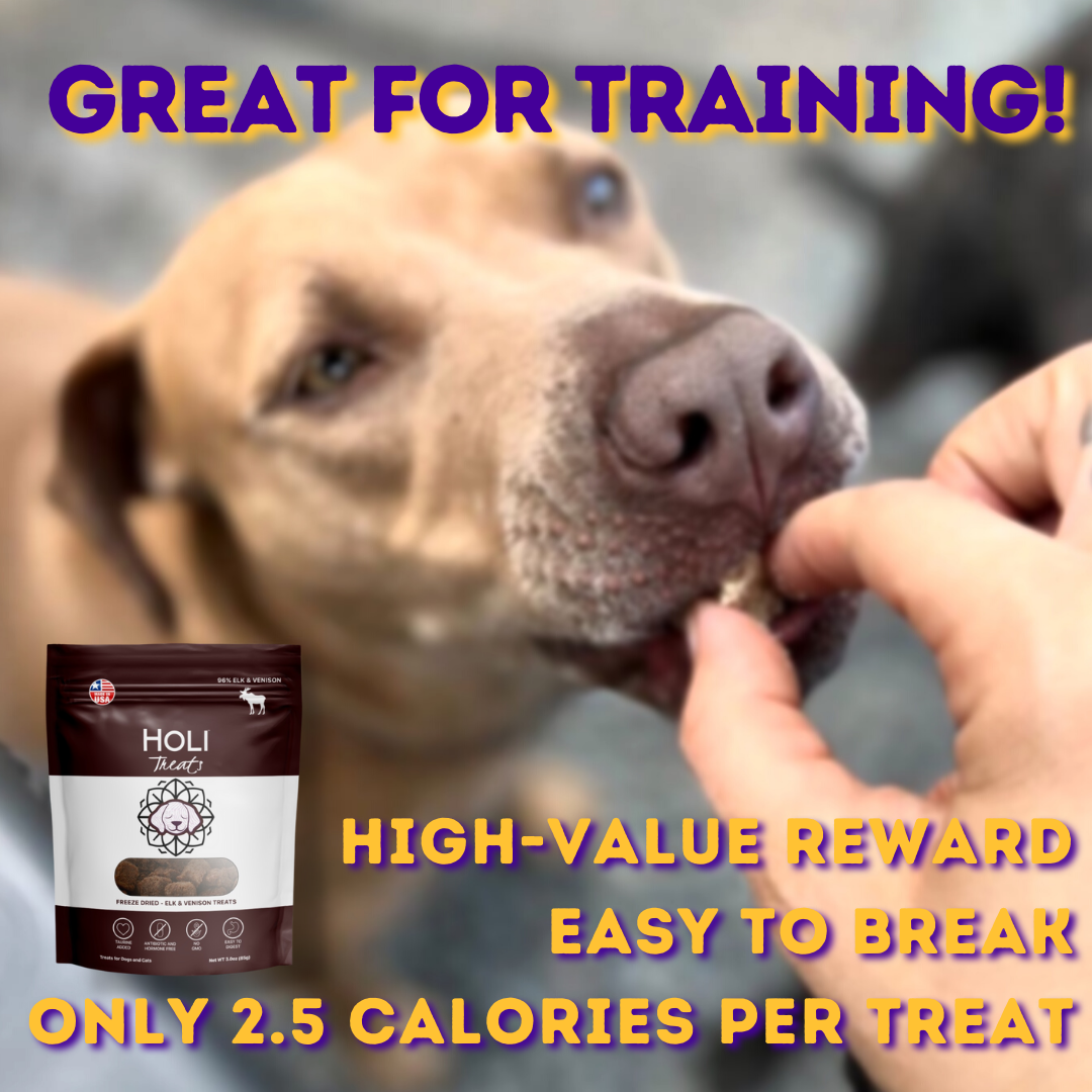 HOLI Elk & Venison Dog Treats product image