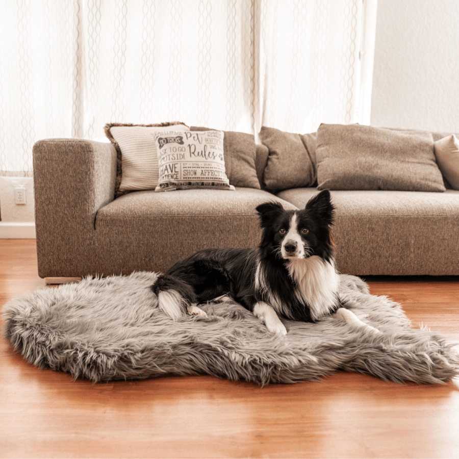 Primary product view of PupRug® Faux Fur Orthopedic Dog Bed - Curve Charcoal Grey by Paw.com