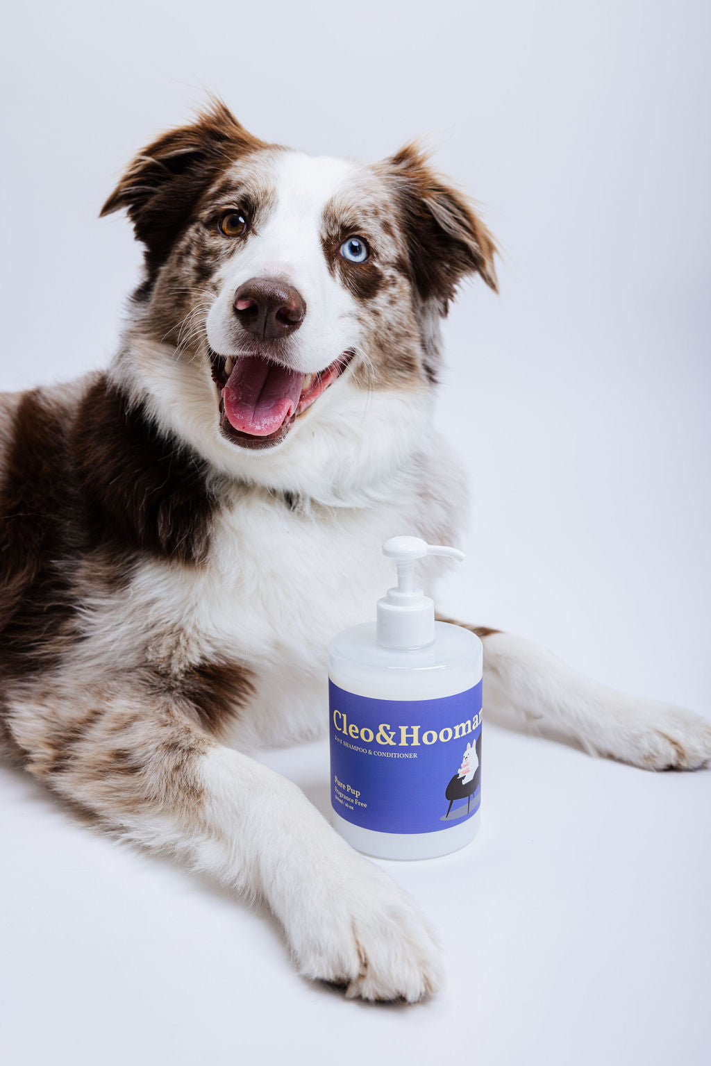 Dog sitting next to a bottle of 'Cleo & Hoover' product on a white background