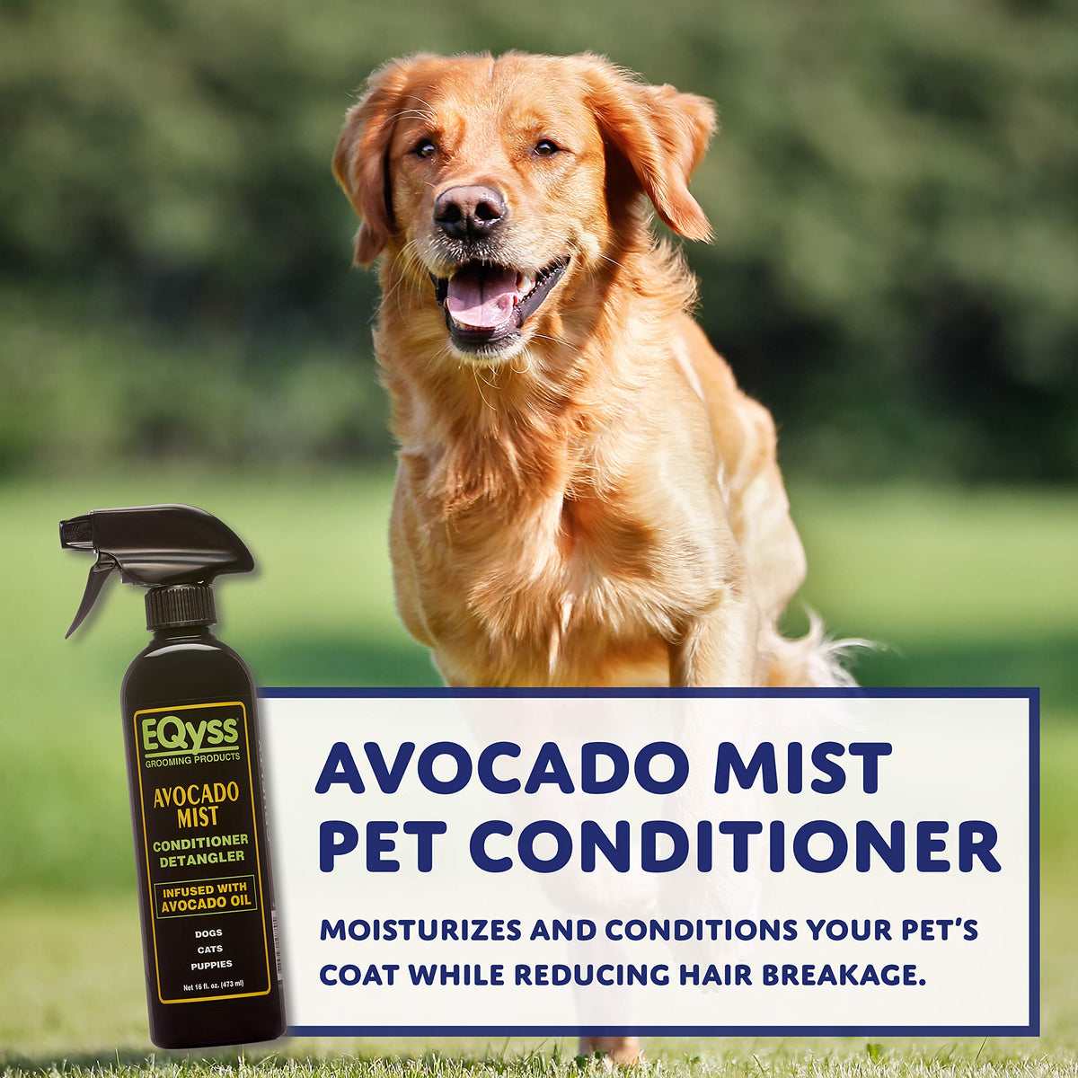 Avocado Mist Pet Conditioner — vista alternativa del producto 2