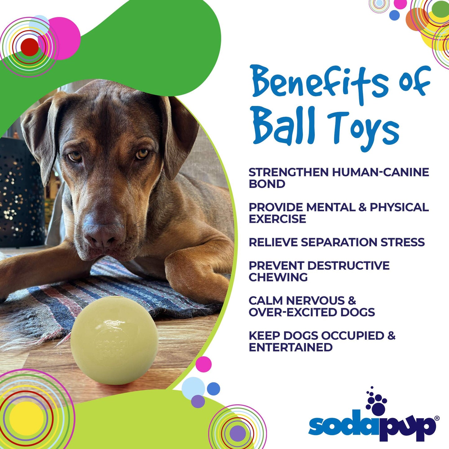 Ultra-Durable Squeak Ball