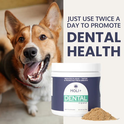 Suplemento para la salud dental de perros con prebióticos Protektin44™