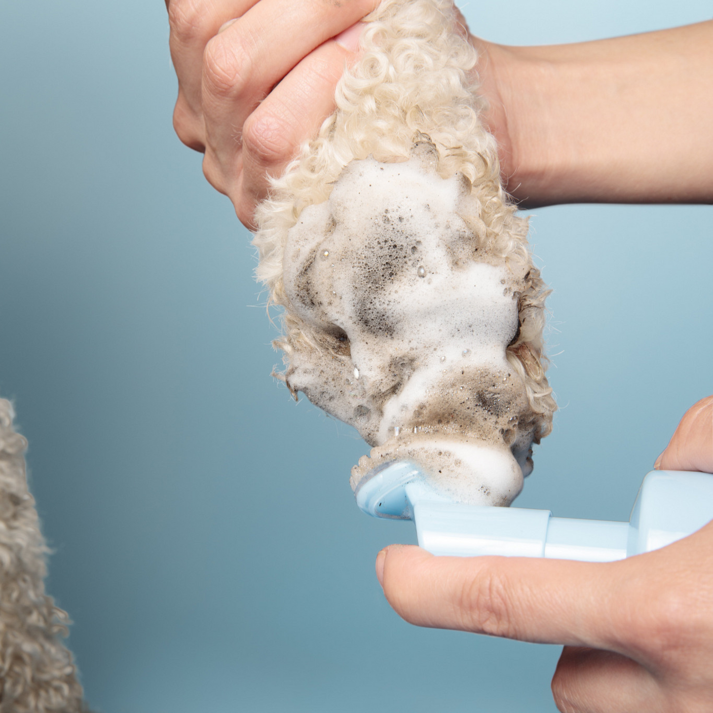 "Espuma Limpiadora de Patas" - Limpiador de Patas para Perros con Cabezal de Cepillo Incorporado