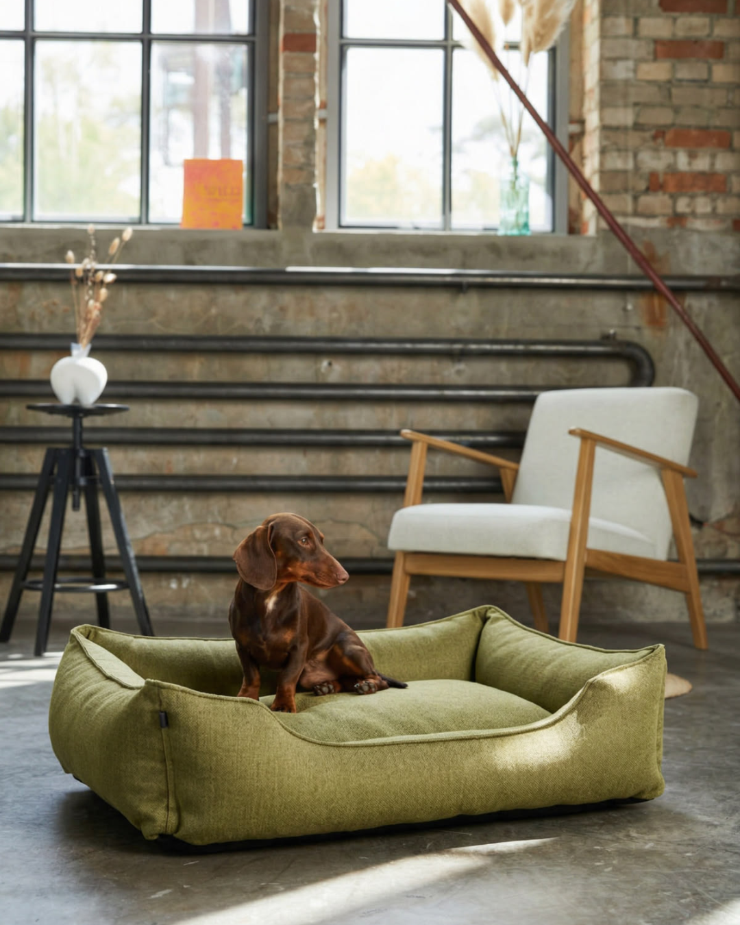 Cotton Sleeper Dog Bed - Olive product information graphic